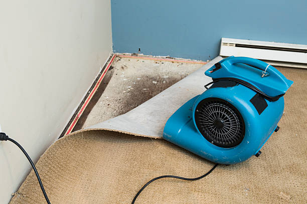 Professional Water damage restoration in Carlyss, LA